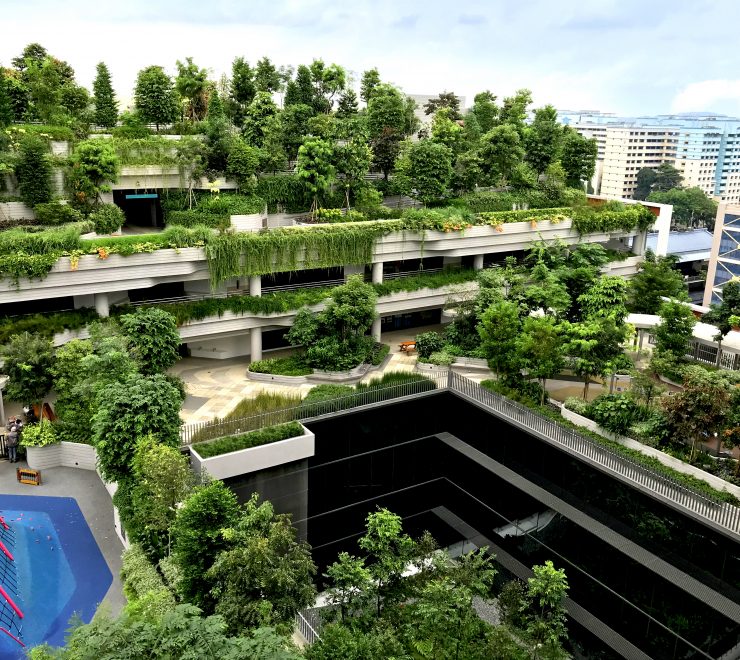 Kampung Admiralty: Green infrastructure bringing people together