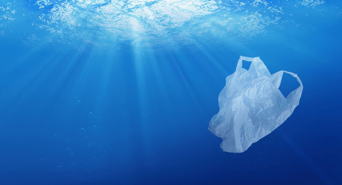 Danish study finds plastic bags have lowest environmental impact