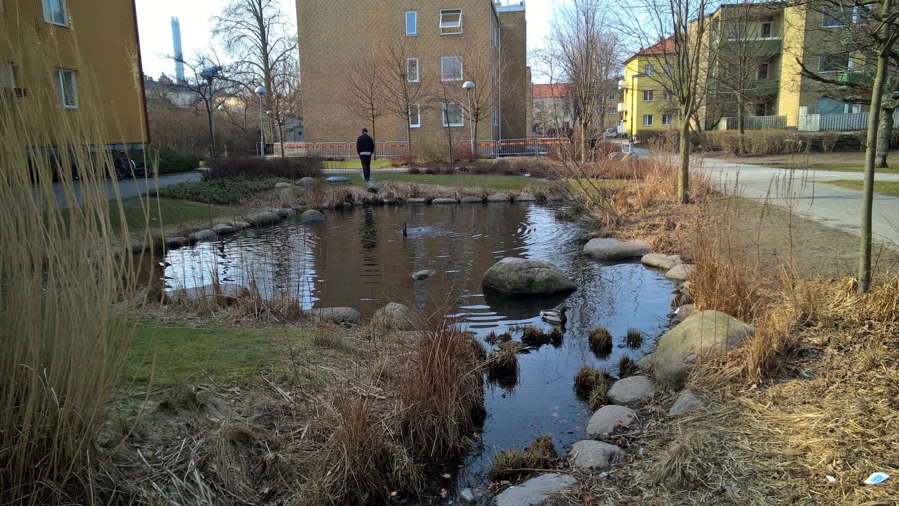Evaluation of flood management in Malmö, Sweden