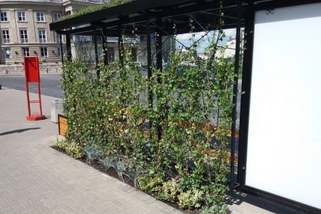 Green Bus Stop city solution