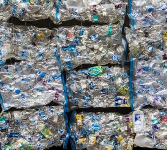 Biobased alternative to plastics