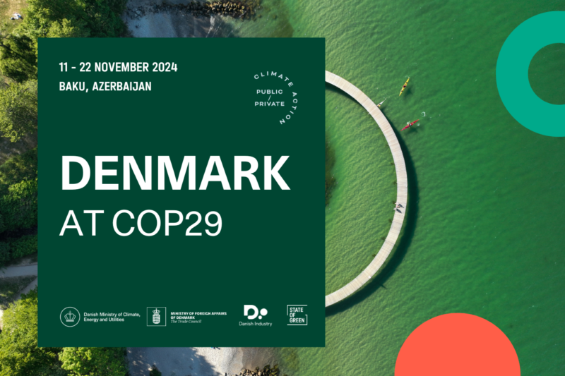 Newsletter: Denmark At COP29 | State Of Green