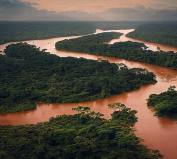 Preserving and protecting the Amazon rainforest