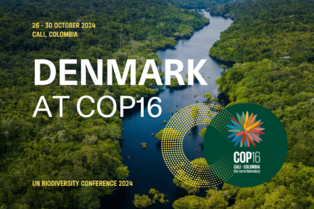 Denmark at COP16