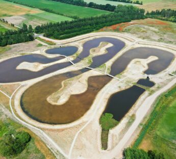 Everenden in Odense: A Wetland Purifying Water