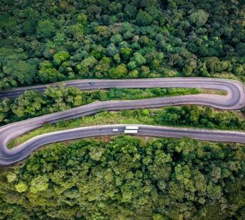 Highways & habitats: An innovative approach to biodiversity monitoring