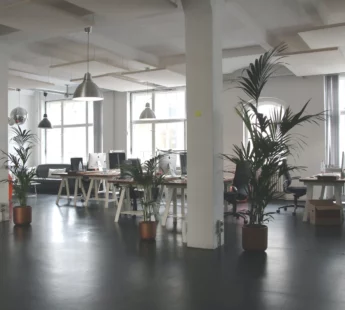 The Future of Office Environments