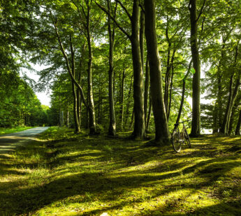 Nordic network to bridge the gaps in biodiversity measurement