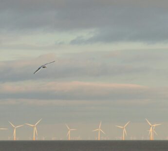 Powering a greener Europe
