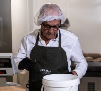 Fermented ingredients for clean-label foods