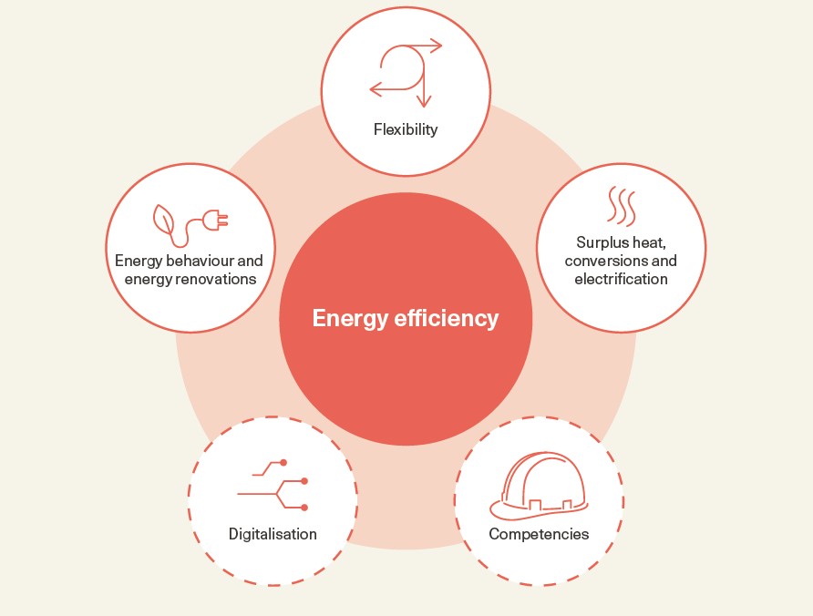The Danish Energy Efficiency Roadmap