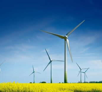Supporting green energy export for global impact