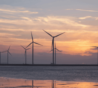 Decarbonising maritime transport: Ambitious global climate regulation and sustainable fuel production