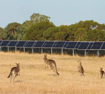 Building tomorrow’s energy on the other side of the world