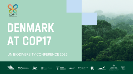 Denmark at COP17