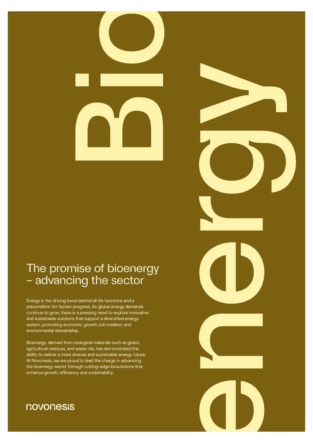 Advancing bioenergy through innovative solutions